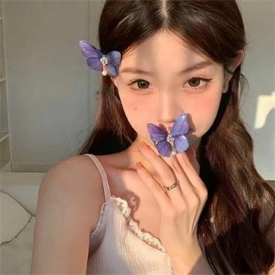 猫咪寻熊记